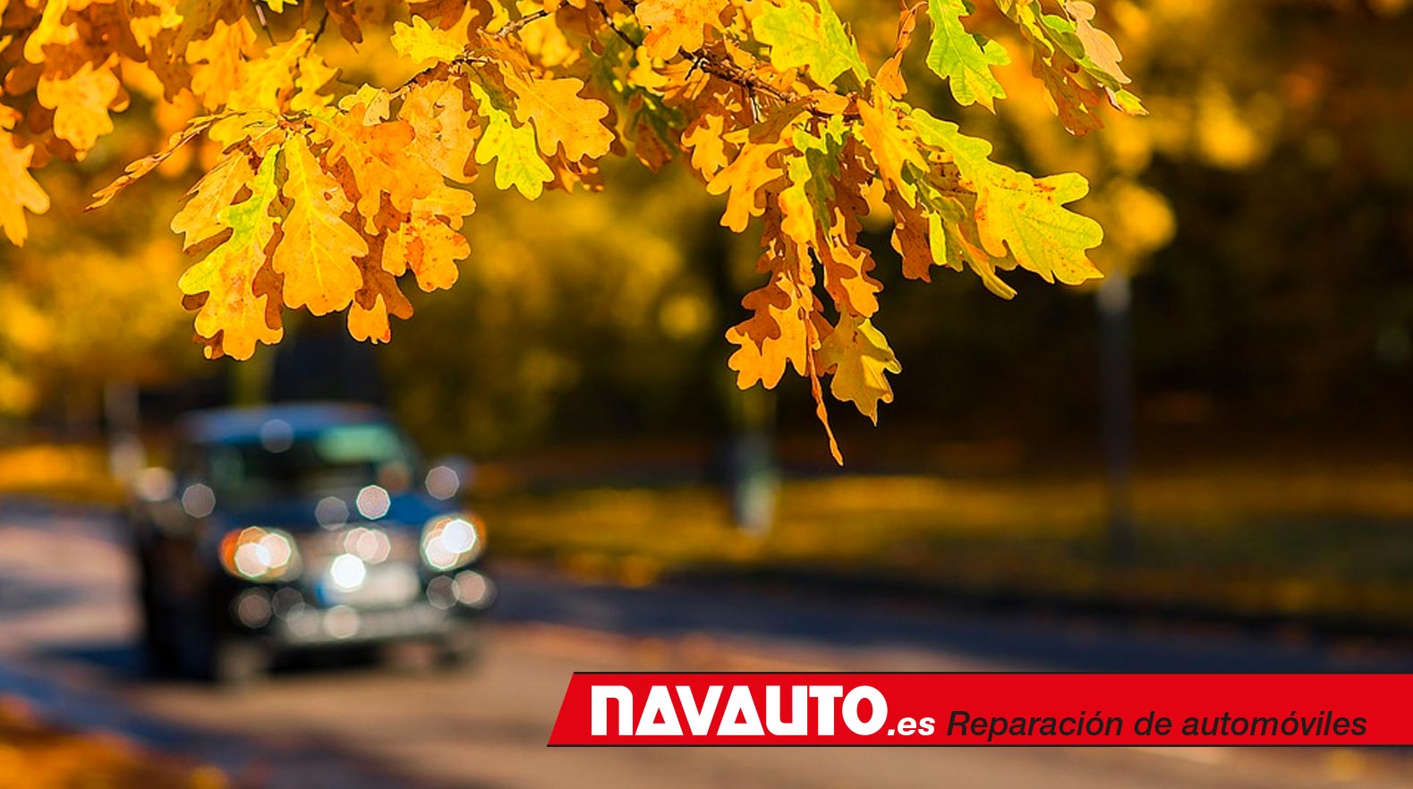 Puesta a punto de nuestro coche para el otoño
